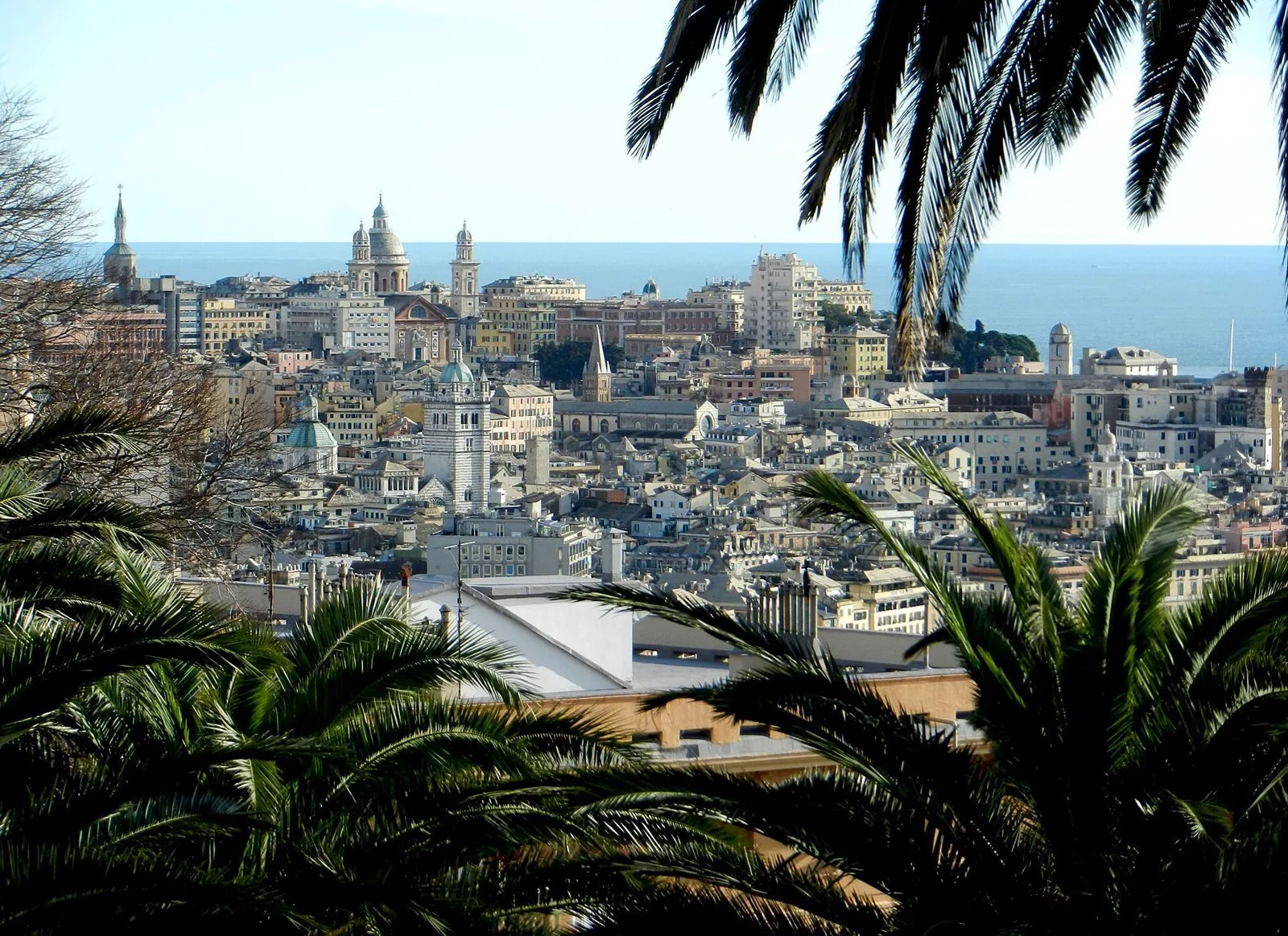 Panorama del centro di Genova tra le palme in una giornata limpida, con campanili, cupole e il mare sullo sfondo
